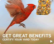 Get great benefits - certify your yard today
